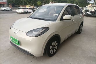 五菱汽车 五菱缤果 2023款 203km 舒享款