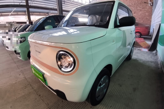 吉利银河 2024款 熊猫mini 200km 耐力熊