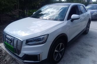 奥迪Q2L e-tron 2019款 Q2L e-tron 纯电智酷型