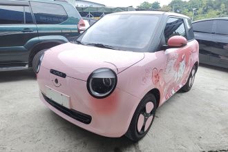 长安启源 长安Lumin 2023款 301km 蜜沁款