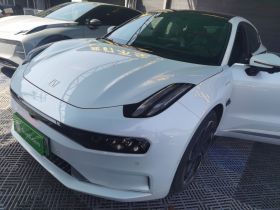 极氪001 2023款 WE版 100kWh