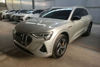 奥迪e-tron 2021款 50 quattro 臻选型