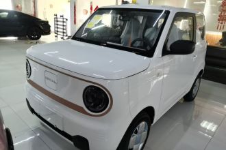 吉利银河 2024款 熊猫mini 200km 耐力熊