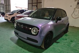 欧拉黑猫 2021款 301km 基础型