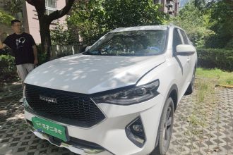 哈弗F7 2019款 1.5T 两驱i型 国V