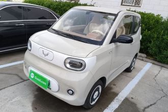 五菱汽车 宏光MINIEV 2024款 第三代 215km 青春版