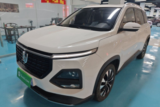 宝骏530 2021款 全球车周年纪念版 1.5T CVT尊贵互联型 7座