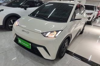 比亚迪 海鸥 2024款 荣耀版 305km 活力版
