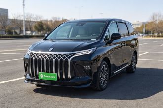 东风风行 星海V9 2024款 1.5TD 200km 中国结系列 尊享型