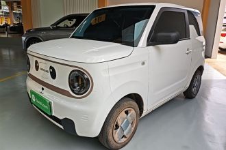 吉利银河 2023款 熊猫mini 200km 耐力熊