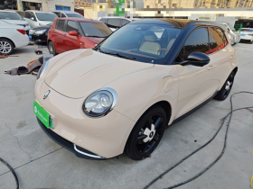 欧拉好猫 2024款 401km 豪华型