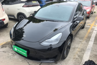 特斯拉 Model 3 2021款 改款 标准续航后驱升级版 3D1