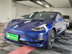 特斯拉 Model 3(进口) 2019款 长续航后驱版