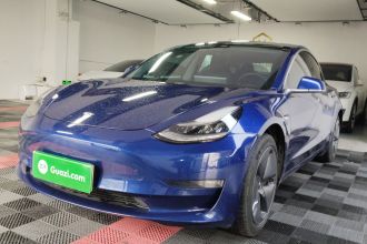 特斯拉 Model 3(进口) 2019款 长续航后驱版