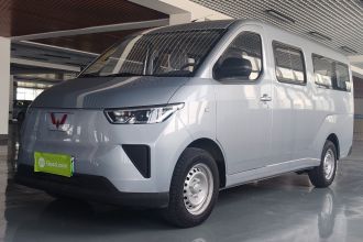 五菱汽车 五菱扬光 2024款 300km 舒适型客车版 75kW