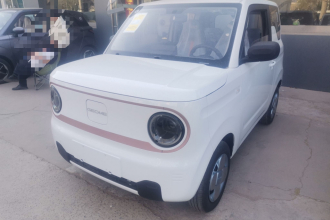 吉利银河 2024款 熊猫mini 200km 耐力熊