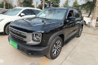 哈弗大狗 2024款 1.5T DCT拉布拉多版