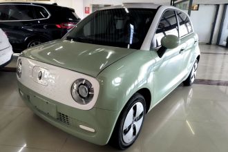 欧拉黑猫 2022款 301km 基础型 三元锂