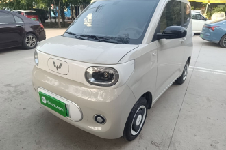 五菱汽车 宏光MINIEV 2024款 第三代 215km 青春版