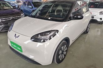 五菱汽车 五菱缤果 2024款 333km 悦享款