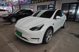 特斯拉 Model Y 2022款 Performance高性能全轮驱动版