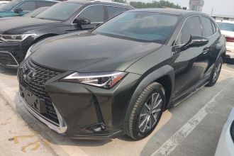 雷克萨斯UX新能源 2020款 300e 纯·享版