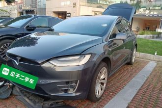 特斯拉 Model X 2019款 长续航版