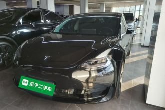 特斯拉 Model 3 2020款 改款 标准续航后驱升级版