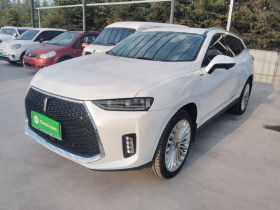 魏牌 P8 2018款 2.0T 旗舰型