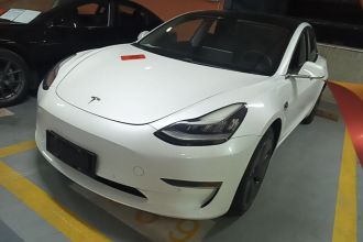 特斯拉 Model 3(进口) 2019款 长续航后驱版