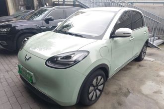 五菱汽车 五菱缤果 2023款 410km 灵犀尊享款