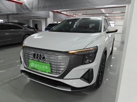 奥迪Q5 e-tron 2023款 40 e-tron 星耀型 机甲套装