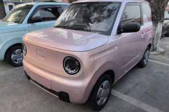 吉利银河 2023款 熊猫mini 200km 耐力熊