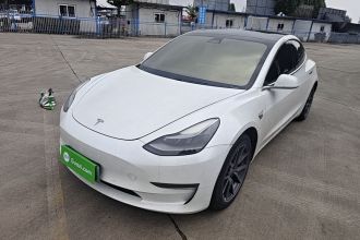 特斯拉 Model 3 2020款 改款 长续航后轮驱动版