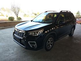 斯巴鲁 森林人 2019款 2.0i 豪华版