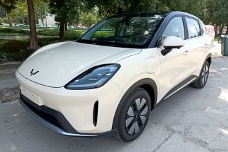 五菱汽车 缤果S 2025款 325km 尊享款