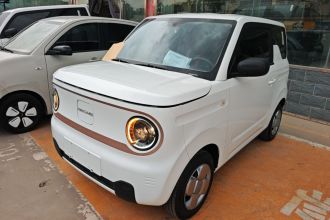 吉利银河 2024款 熊猫mini 200km 耐力熊