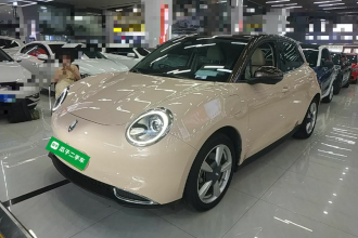 欧拉好猫 2021款 400km标准续航 维纳斯版 磷酸铁锂
