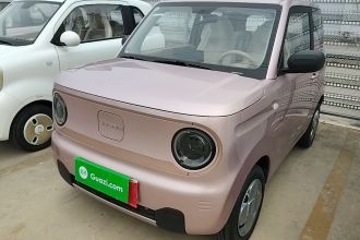 吉利银河 2024款 熊猫mini 200km 耐力熊