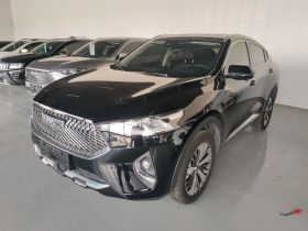 哈弗F7x 2021款 1.5T 两驱极智潮玩版