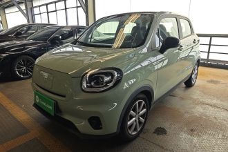 零跑汽车 零跑T03 2022款 皓玉版