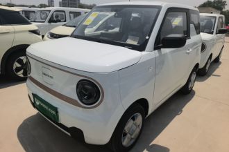 吉利银河 2024款 熊猫mini 200km 耐力熊
