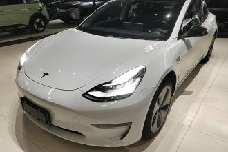 特斯拉 Model 3(进口) 2019款 长续航后驱版