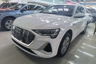 奥迪e-tron 2021款 50 quattro 豪华型
