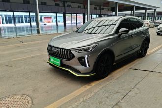 哈弗赤兔 2021款 激擎版 1.5T 铂金兔