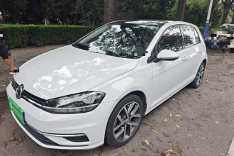 大众 高尔夫 2019款 280TSI DSG豪华型 国V