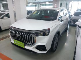 吉利汽车 豪越L 2024款 2.0T DCT尊贵型