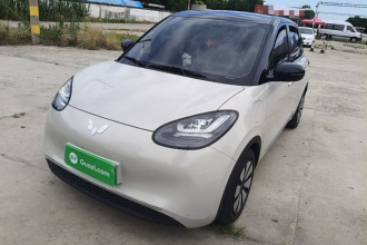 五菱汽车 五菱缤果 2024款 333km 悦享款