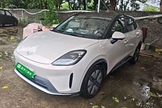 五菱汽车 缤果S 2025款 325km 尊享款
