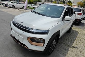 东风纳米 纳米BOX 2022款 改款 轻风版 201KM 标准型